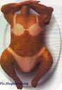 Turkeysuit.jpg
