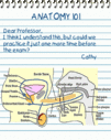 anatomy.gif