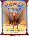 cameltoe-smokes.jpg