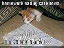 funny-pictures-homework-eating-cat.jpg